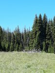 20200709_122315.jpg