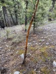 52C74540-E0AF-4311-A80A-AAD46C9728E4.jpeg