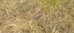 20200728_143208.jpg
