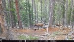 IMG_0147.JPG