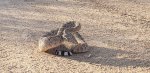 20200804_180541.jpg