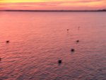 DSCF3242.JPG