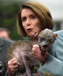 pelosi.jpg