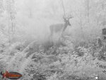532B8E79-2DEE-4071-B709-2DEE90707D7F.jpeg