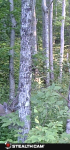 9E21AFE1-BEB3-45EC-B0FC-FA4298B0C2E8.png