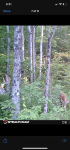 1026C0A7-11BD-4776-AEE0-95B5625217CC.png