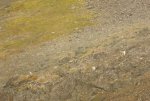 DSCF6368.jpg