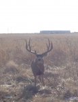FullSizeRender(8).jpg