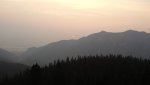 20200823_063656(1).jpg
