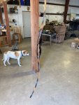 Wenge-Brown Actionwood 4.jpg