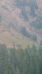 Screenshot_2020-08-23-13-36-56.png