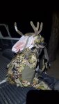 20200816_015453.jpg