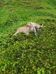 20200821_073723.jpg