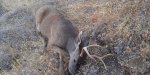 IMG_20200822_211926.jpg