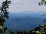 20200905_161927.jpg
