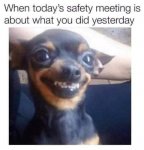 0A72C1A0-0787-4F07-8C46-5EBF259260F9.jpeg