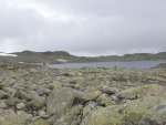 20200828_091732.jpg