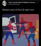 A49FF48F-A585-4F6C-A9F5-43A89F682A81.jpeg