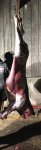 736DF388-8285-407D-A644-5F0049D76EFD.jpeg
