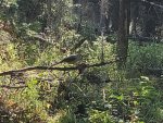 20200914_104731.jpg