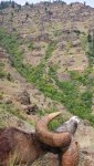 20200801_143344.jpg