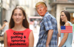1600450902198.png