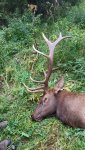 20200914_193535.jpg