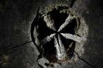 log wheel.JPG