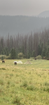 047A4908-477A-4CAE-B759-24D2CCC4535B.png