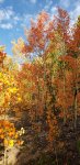20200922_083951.jpg