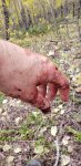 20200921_122212.jpg
