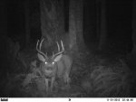 culvert cam 013.jpg