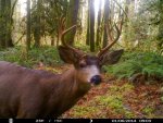 HUNT0015.jpg