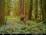 HUNT0104.jpg