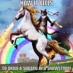 bsdgFg3.jpg