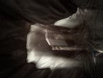 A92AC19F-C66B-4196-A3A9-D0790F37FFCA.jpeg