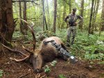 Elk2.jpeg