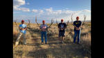 CO Elk 3.png