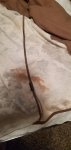 20201005_143535.jpg