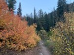 Trail.jpg
