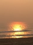 4C95A842-C9AA-46C2-ADCD-AB1DB68E20B3.jpeg