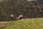 DSC00561.jpg