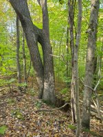 20201009_100038.jpg