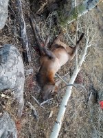 20201004_184631.jpg