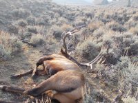 DSCN0826 copy.jpg DSCN0826 copy.jpg