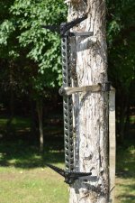 FAABF71F-21CE-4974-8479-E8FE33EE227E.jpeg FAABF71F-21CE-4974-8479-E8FE33EE227E.jpeg