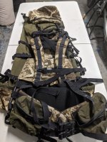 Goshawk 4.jpg Goshawk 4.jpg