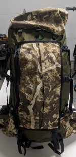 Goshawk 5.jpg Goshawk 5.jpg