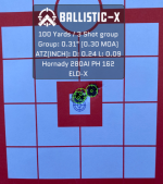 Ballistic-X-Export-2020-10-14 13:32:23.908944.PNG