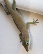 IMG_20201014_203534_318.jpg